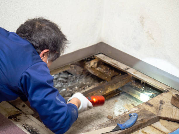 Best Bathroom Mold Remediation in , WV