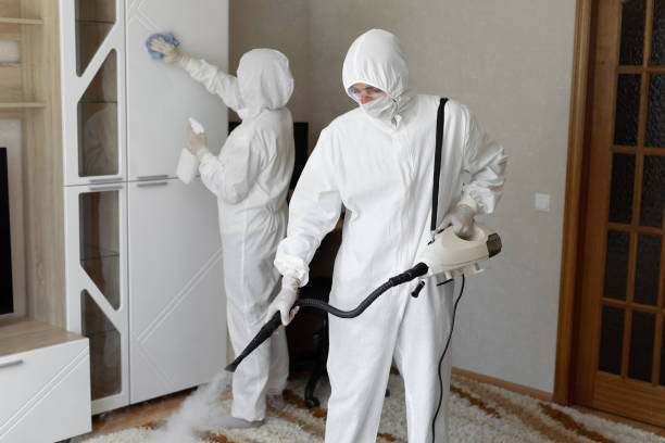 Best Industrial Mold Remediation in , WV