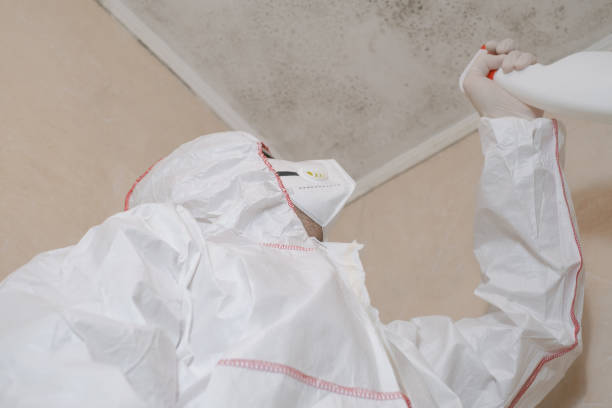 Best Localized Mold Remediation (e.g., coastal areas, humid climates) in , WV